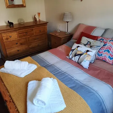 Coddiwomple Holiday home *
